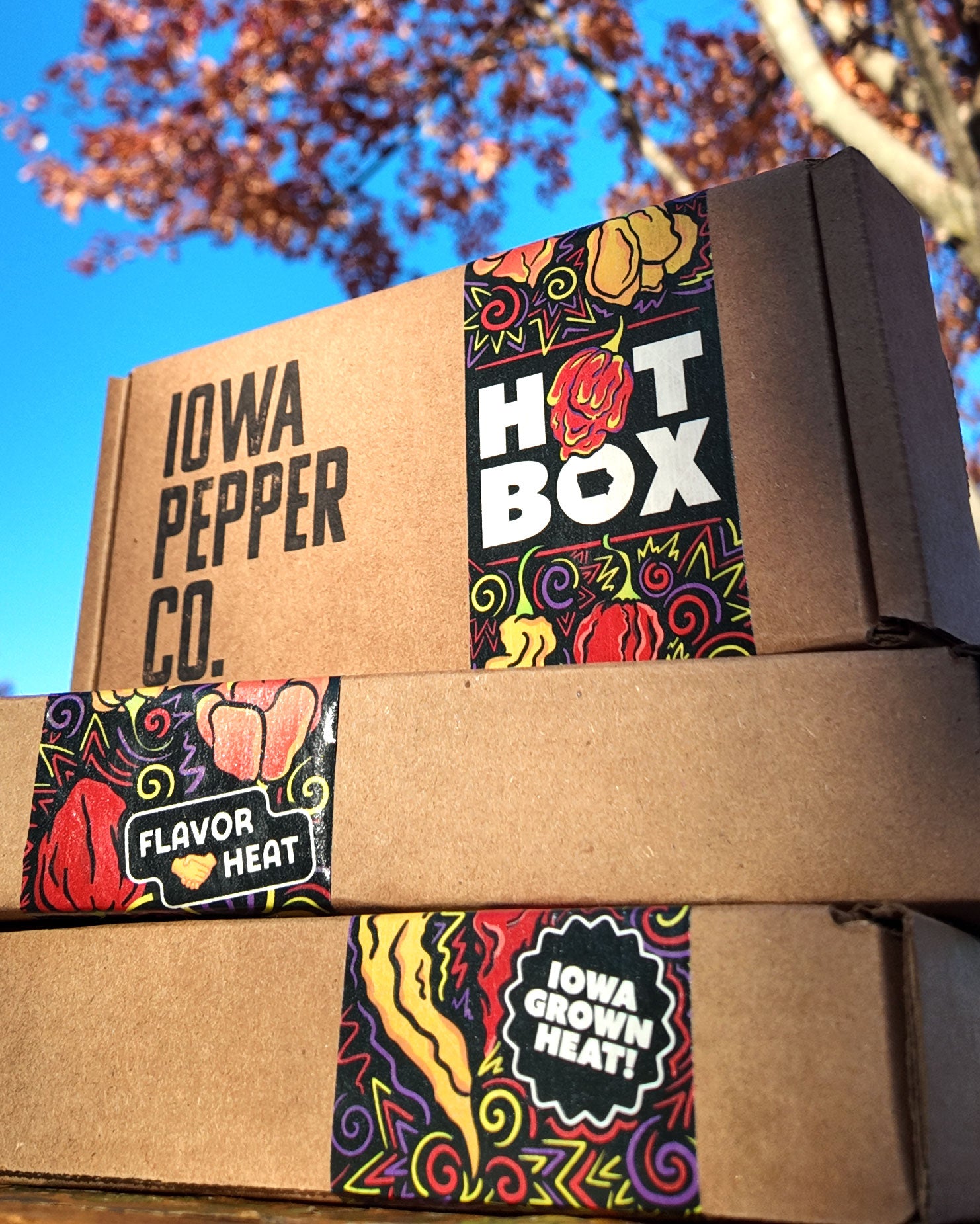 Mini Bottle Variety Pack +FREE SHIPPING