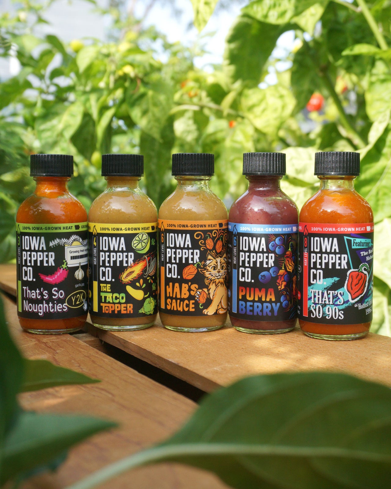 Mini Bottle Variety Pack +FREE SHIPPING