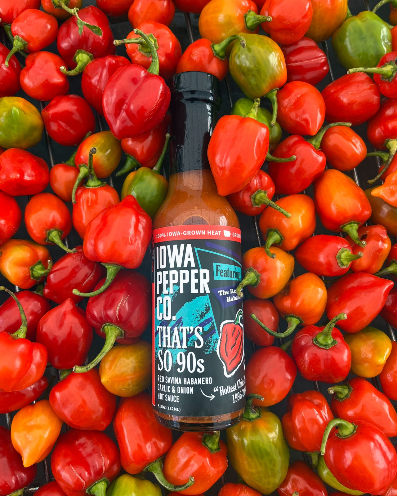 THAT'S SO 90s HOT SAUCE (8/10 Heat)