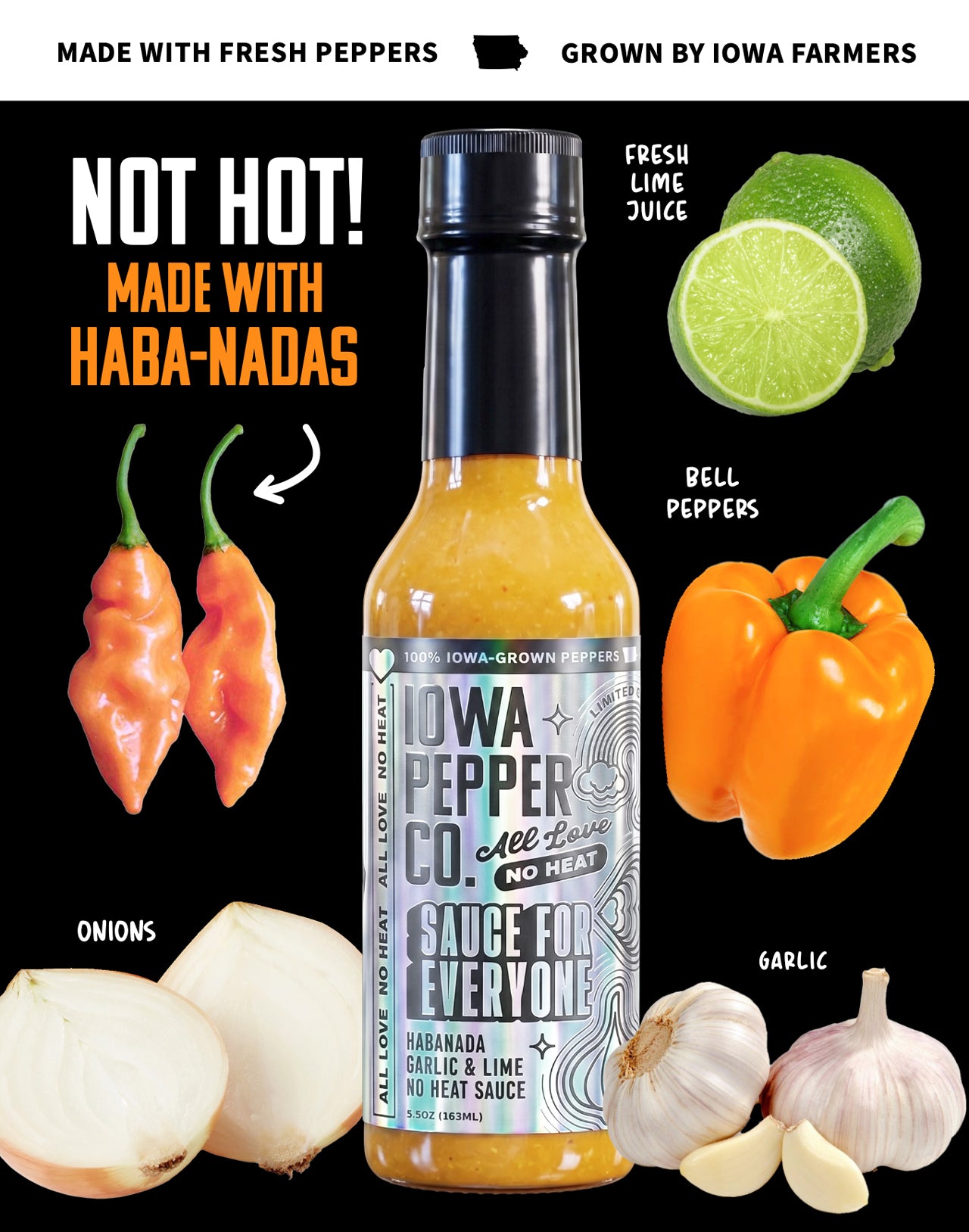SAUCE FOR EVERYONE (NO HEAT)