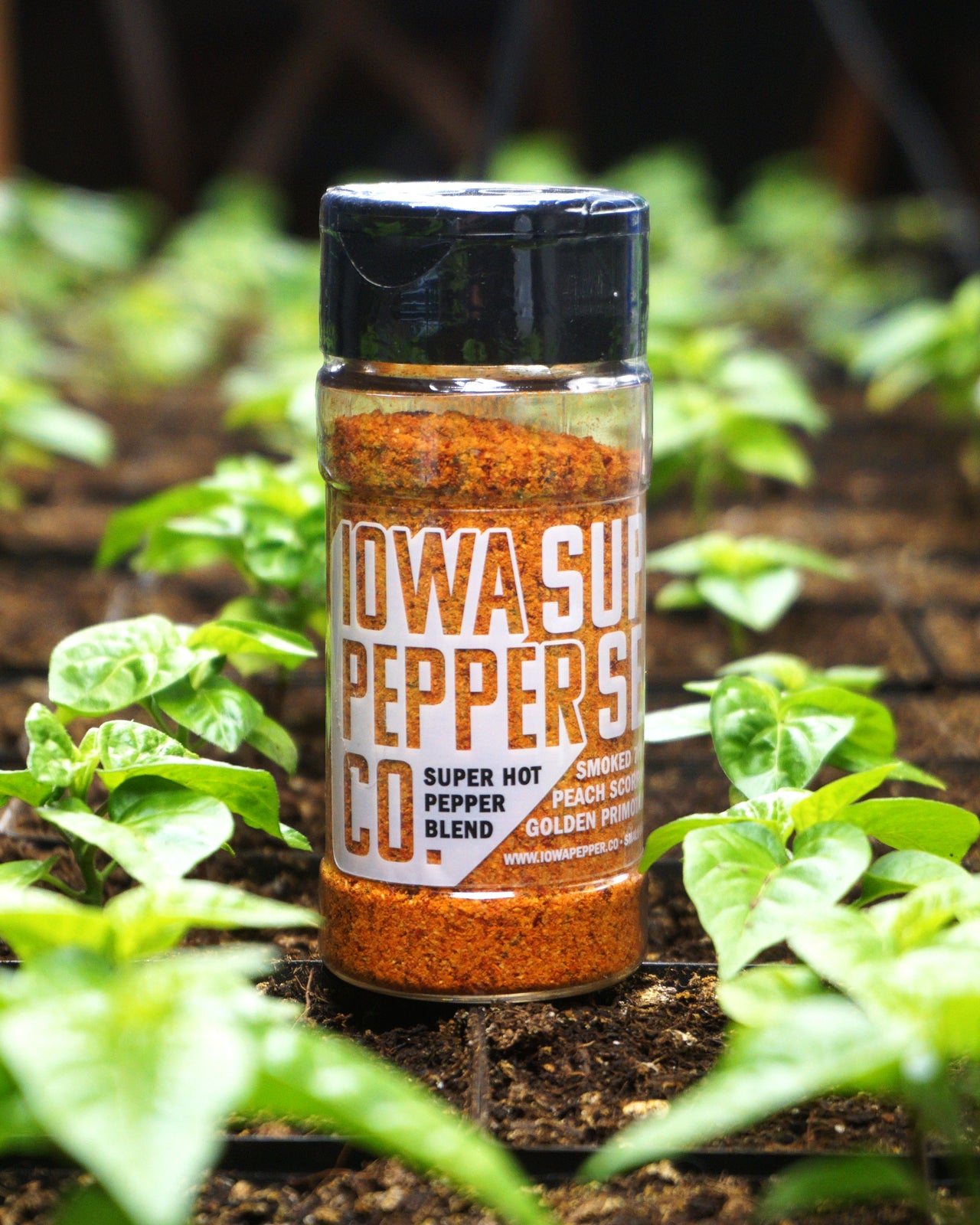 Super Hot All-Purpose Seasoning Blend