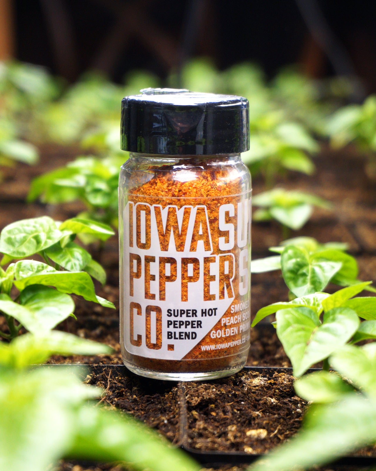 Super Hot All-Purpose Seasoning Blend