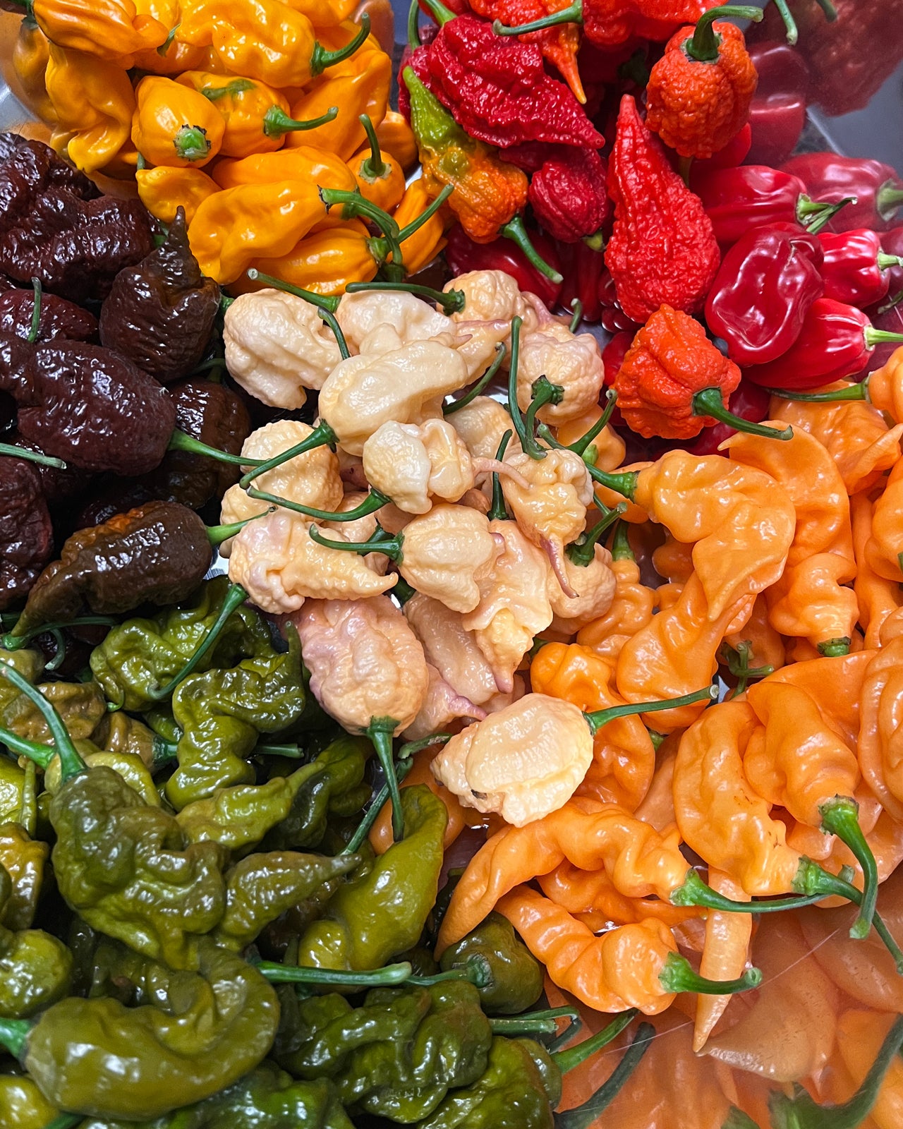 Super Hot All-Purpose Seasoning Blend
