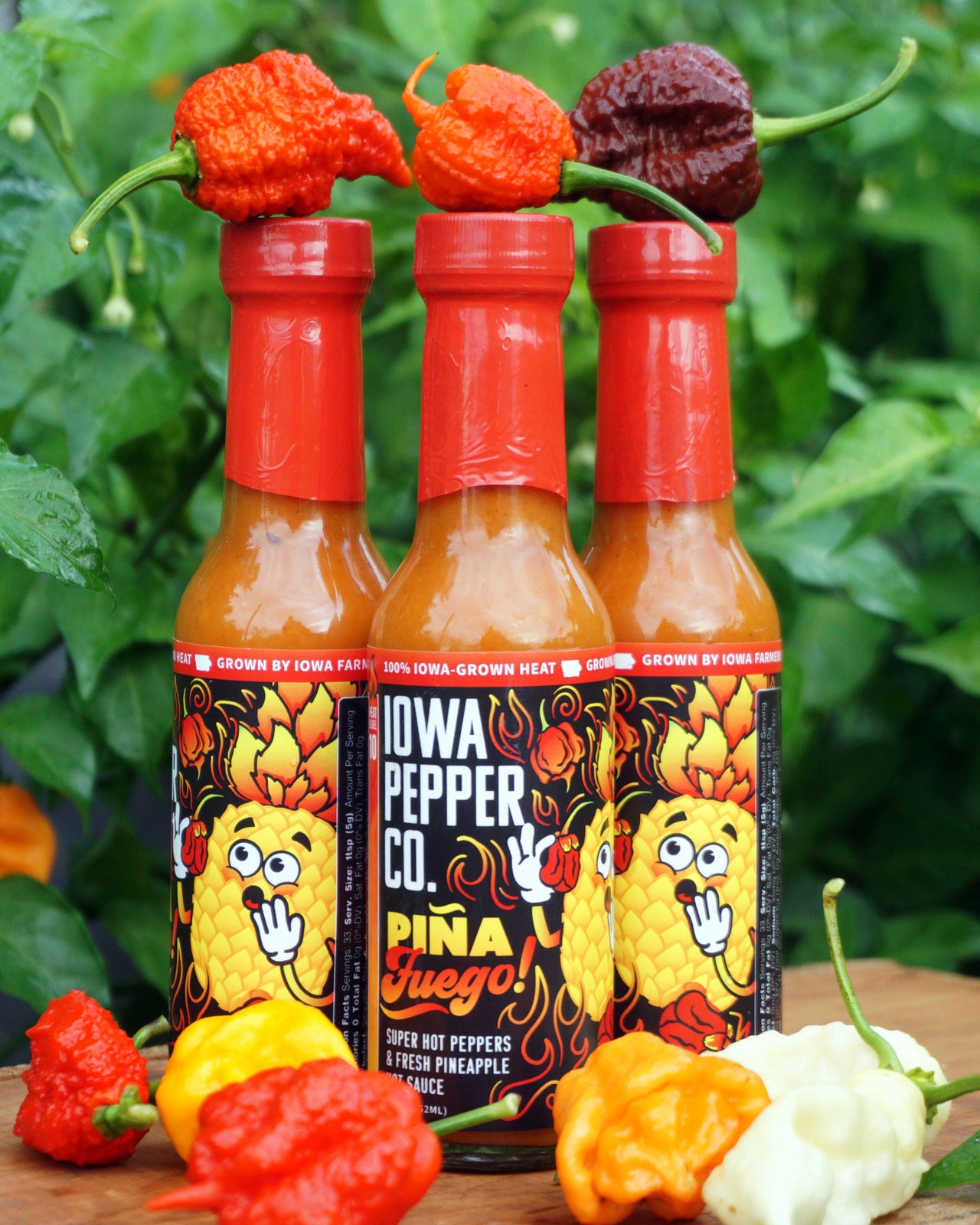 PIÑA FUEGO HOT SAUCE (10/10 Heat)